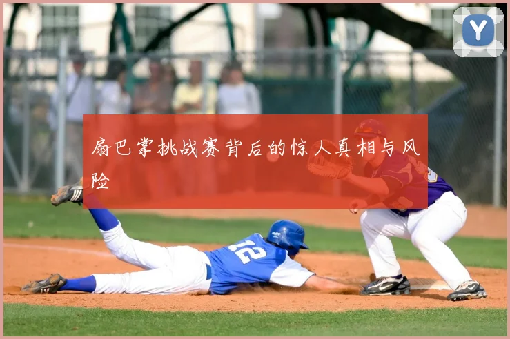 扇巴掌挑战赛背后的惊人真相与风险