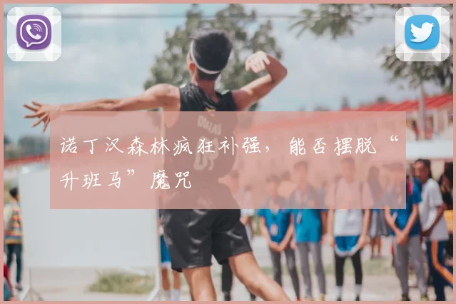 诺丁汉森林疯狂补强，能否摆脱“升班马”魔咒