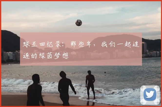 球王回忆录：那些年，我们一起追逐的绿茵梦想