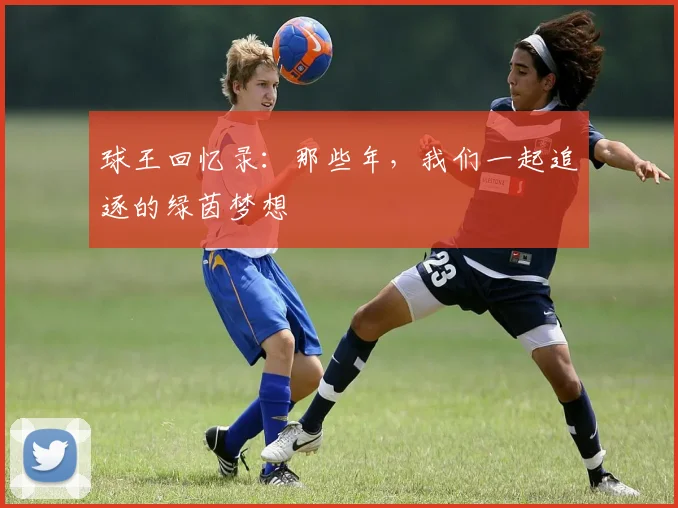 球王回忆录：那些年，我们一起追逐的绿茵梦想
