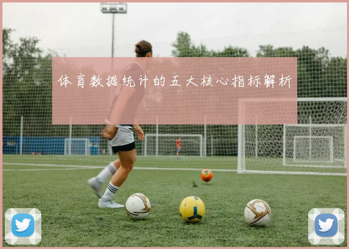 体育数据统计的五大核心指标解析