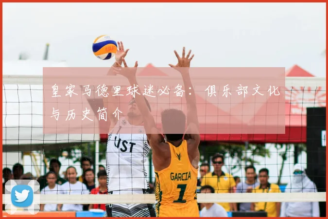 皇家马德里球迷必备：俱乐部文化与历史简介